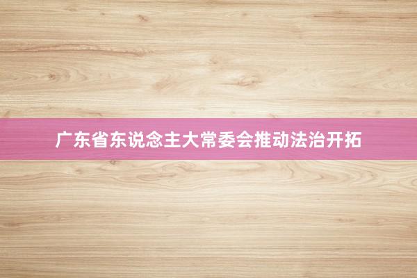 广东省东说念主大常委会推动法治开拓